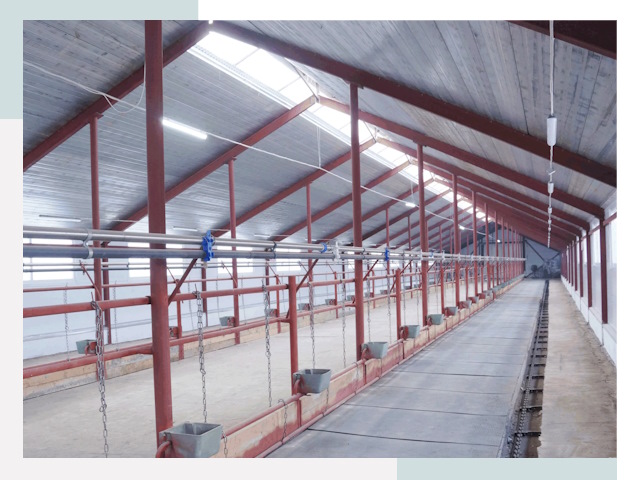 Строительство коровников в Евпатории от 632 руб.