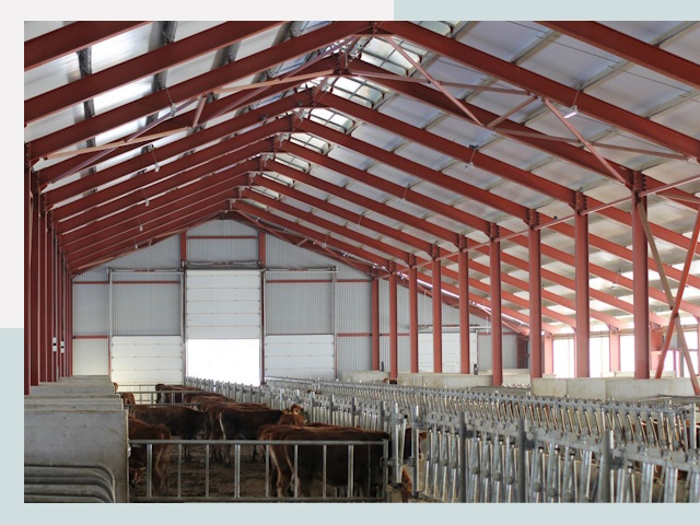 Строительство коровников в Евпатории