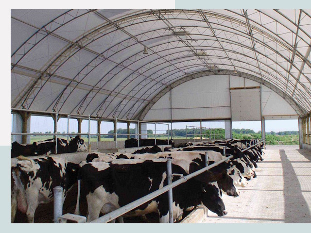 Тентовые коровники в Евпатории